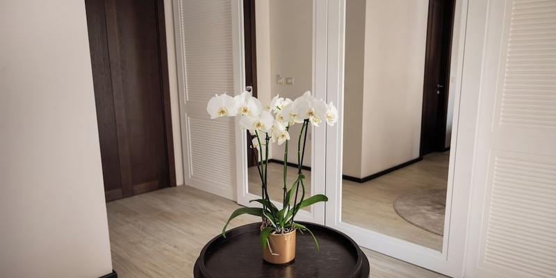 room_cc9a7594-8aff-44a0-b3eb-39f5ceef5bef.jpg