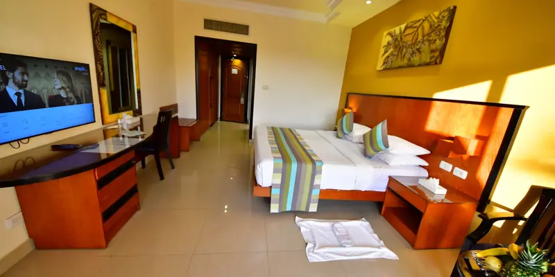 room_cac259c6-67af-4086-8793-379a1c9e26d6