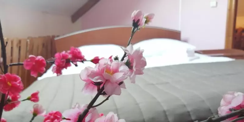 room_513d7f8b-2fb2-4ca4-bd66-bff20e90715d.jpg