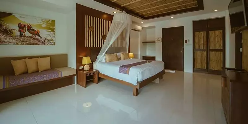 room_98d3d31c-1b69-4856-8efa-052eafcbabf9
