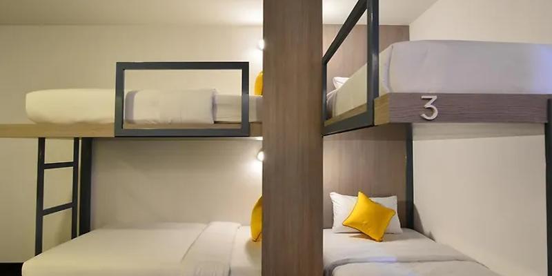 room_d6f5fd08-ca64-4bd1-be13-618ba81e0be2
