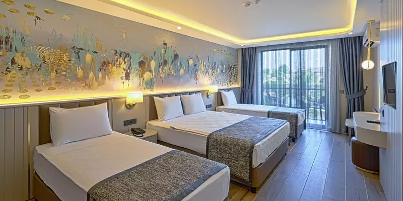 room_d5ab9cb5-fec6-402a-a4c7-eab37c0424c6