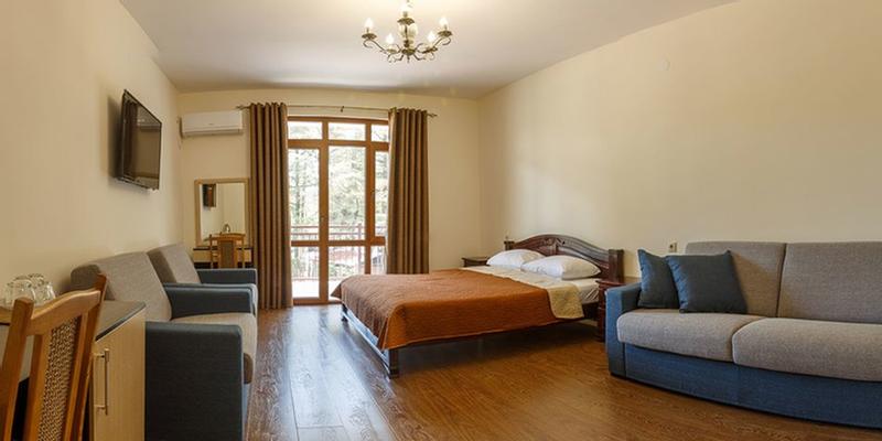 room_45a60d20-1ed6-4dac-9a90-cb7847443484