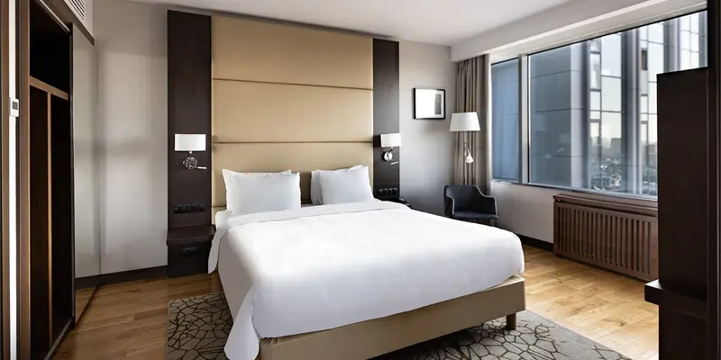 room_0ac59603-0071-4d96-b446-f63b8ff26246