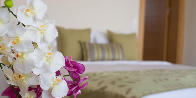 room_a08c04ef-51cb-41ec-9991-e1679d672e4f.jpg