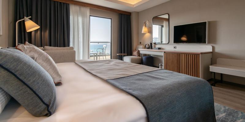 room_54cd7573-8036-4bc1-8c04-4b1fa9ad9fde