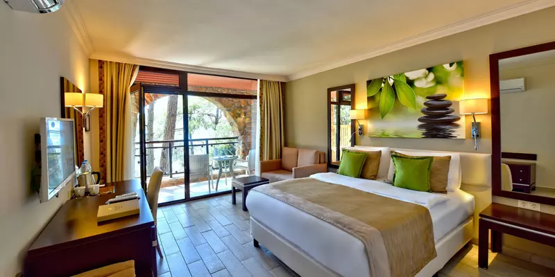 room_d548fe6e-19d2-4f9f-9db5-3fca219d2627