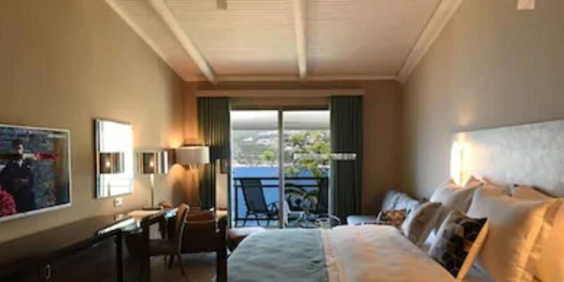 room_b7a20c88-9c3e-41f4-84bf-d957dfa6d14f.jpg