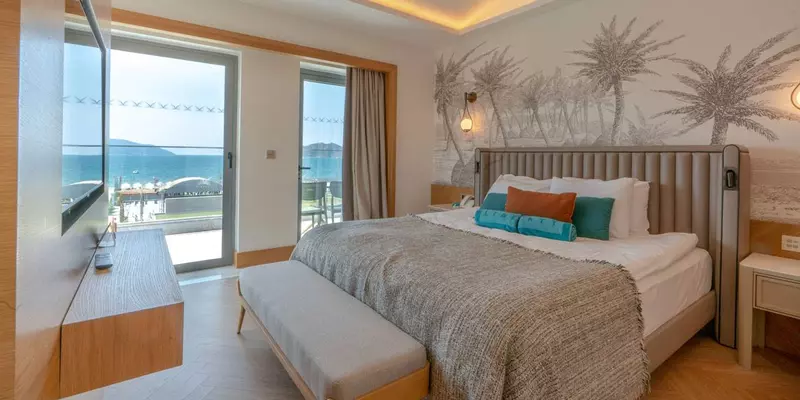 room_075a877e-55c3-4db3-a87c-09b0e35b3283