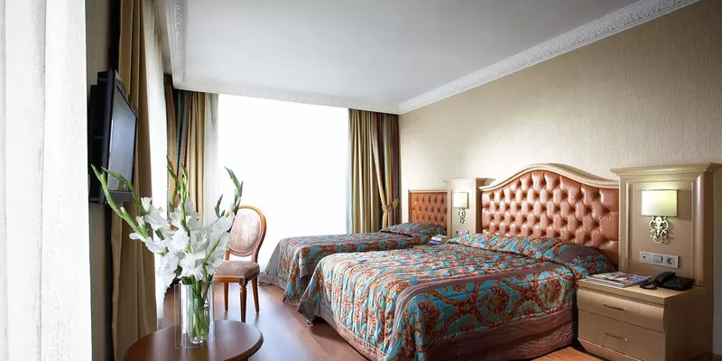 room_1b5a55c5-5d83-4d20-a057-7d9eaddccdd1
