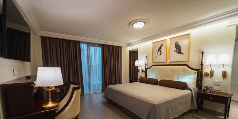room_edd142bb-a227-424c-8567-bd36ee74d99c