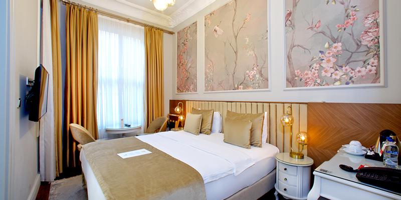 room_bfcd713e-e2e8-41bf-b206-92f869f9de04