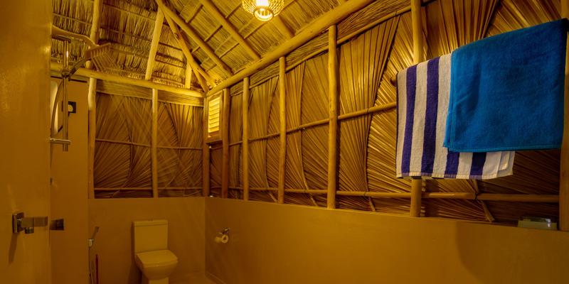 room_305d3bff-ab2c-4c4e-aa66-34dc93d8c8a2.jpg