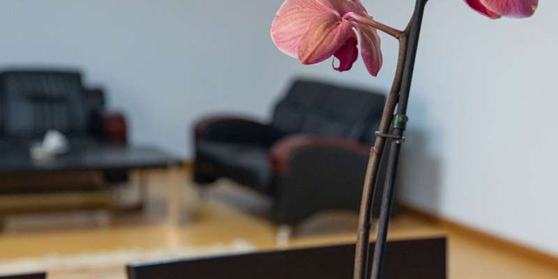 room_61bbc567-d638-4b9d-97e1-41dde21a7fa7.jpg