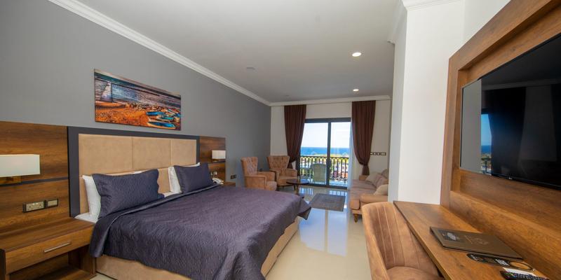 room_4ed3827e-e83a-44c8-a032-76a792cd9a2a
