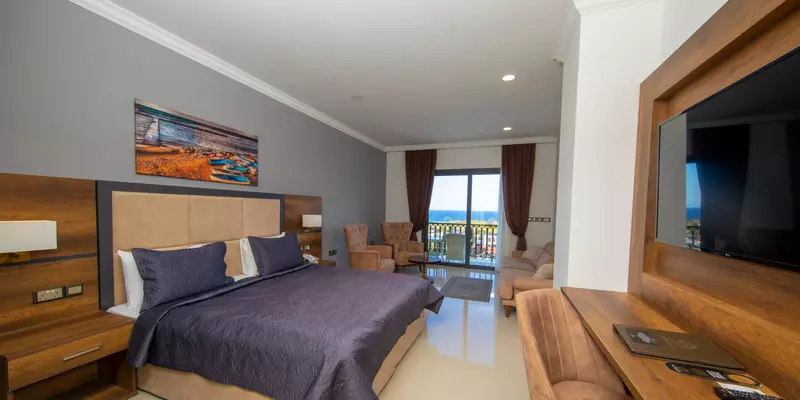 room_4ed3827e-e83a-44c8-a032-76a792cd9a2a