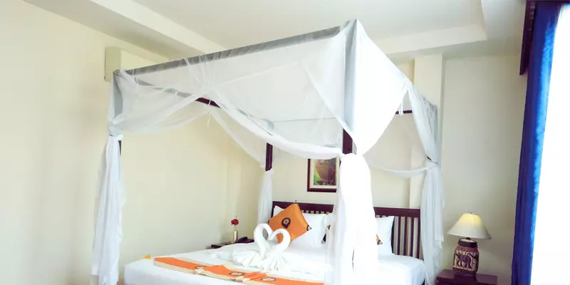 room_cf321947-1a7d-4de4-8d11-3e83fcefb7b1
