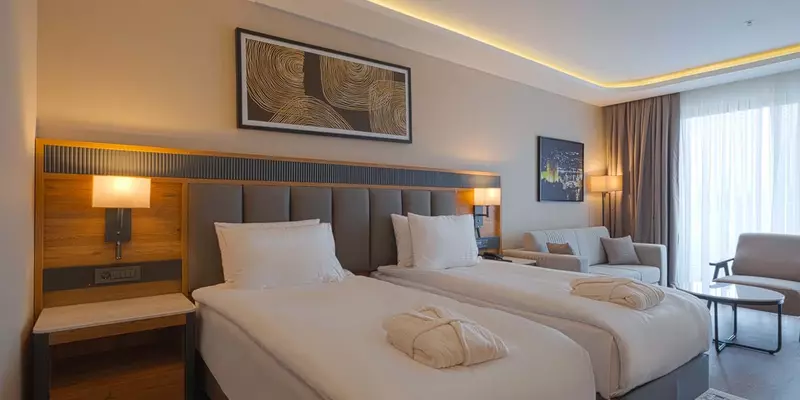 room_ad50328a-de4c-4af8-b754-a1242ff0843e