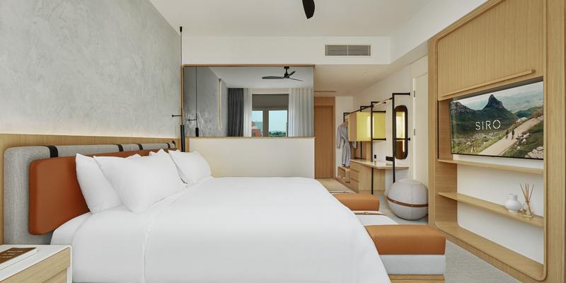 room_b5d1c0b8-2c93-4d45-be7e-0ac761c3aae7