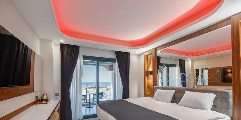 room_d486c2bc-0ca6-45a9-aa38-64d2fb4a5a8e