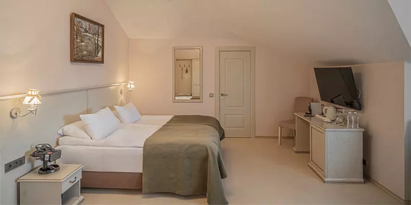 room_eaf926ec-7f5a-4b7e-a8ac-66bdb67a0f3a