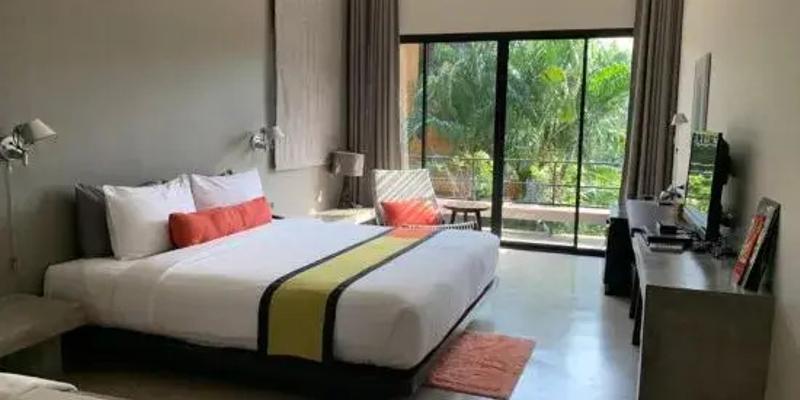room_ff2c4a3a-9c5d-4b5a-aa30-4838b29ed62b.jpg