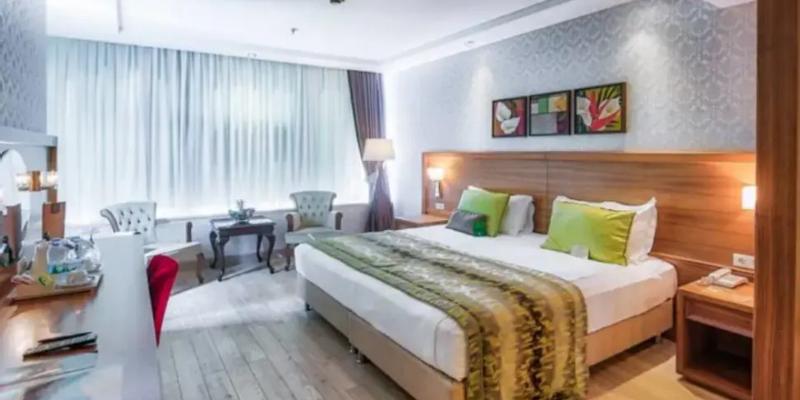 room_355bd552-d0fa-4d0c-99ae-766a2db7451c.jpg
