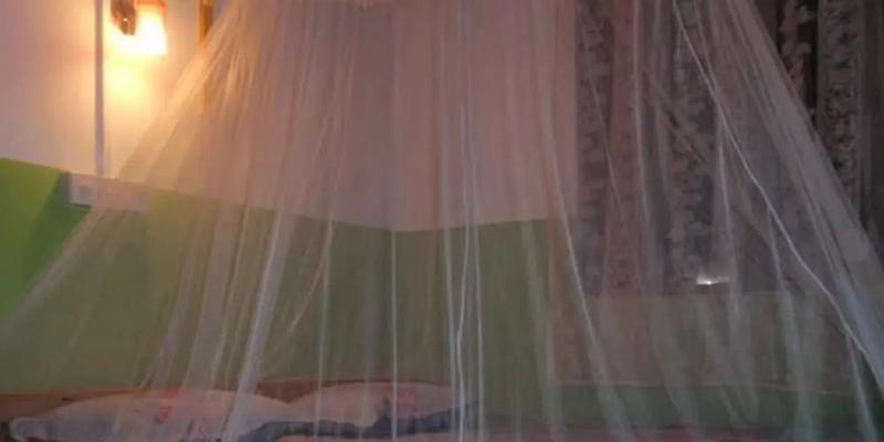 room_83f035fa-e4bb-46b0-81f9-8c2c0738d903.jpg