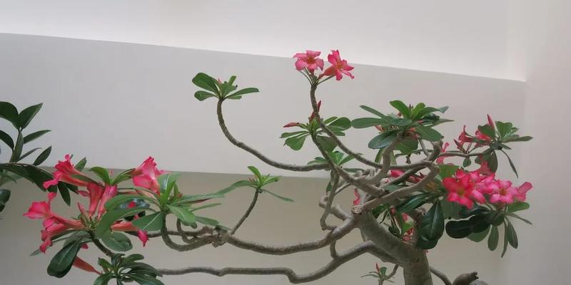 room_db7cca40-31c7-4e5a-8cf7-0811163eb4d6.jpg