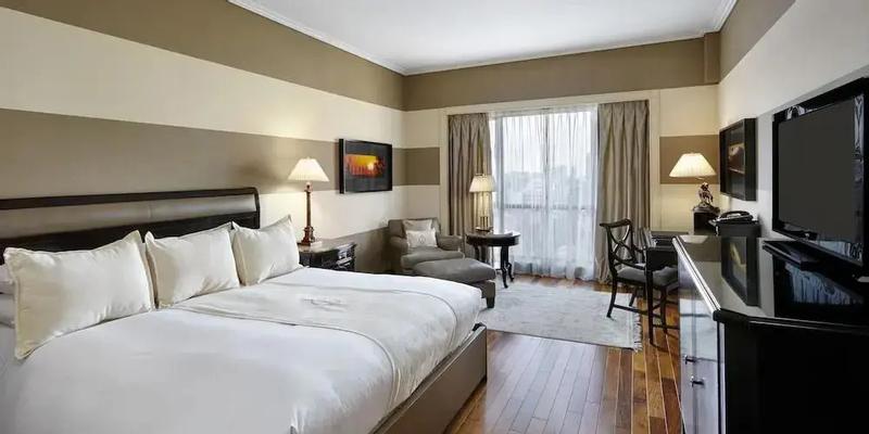 room_41eca82a-066d-4aee-b0b6-e2e265c5e13e.jpg