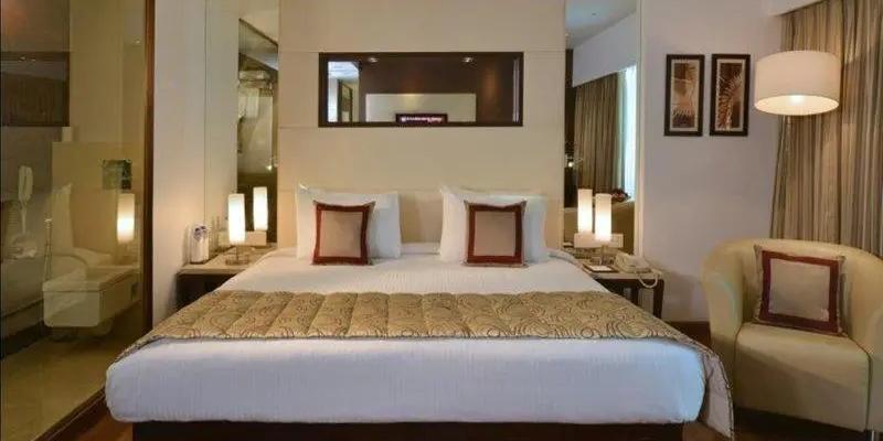room_dca9371f-2ffd-4e0e-929a-bcc285959f97.jpg