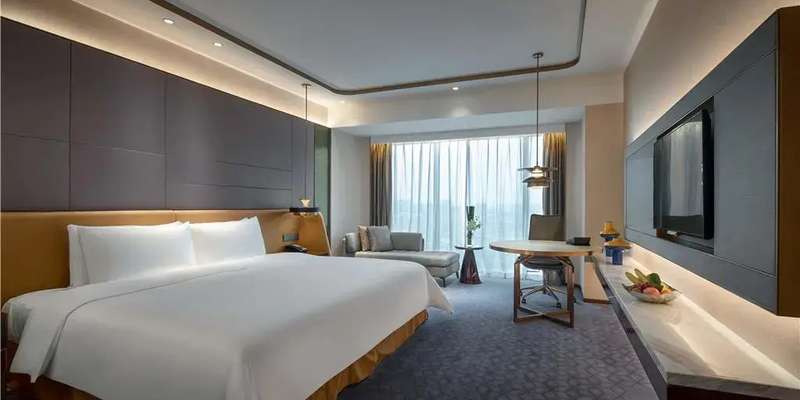 room_6d6fdbf4-892b-421d-ace3-d323bf830fcb.jpg