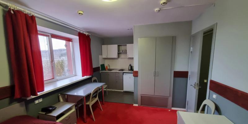 room_251a35a2-65b2-4e64-9c5e-63d973cc17cd.jpg