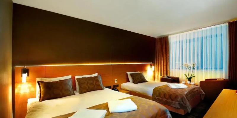 room_1ca88f4a-e334-4be4-bf87-7c27395a2c2f.jpg