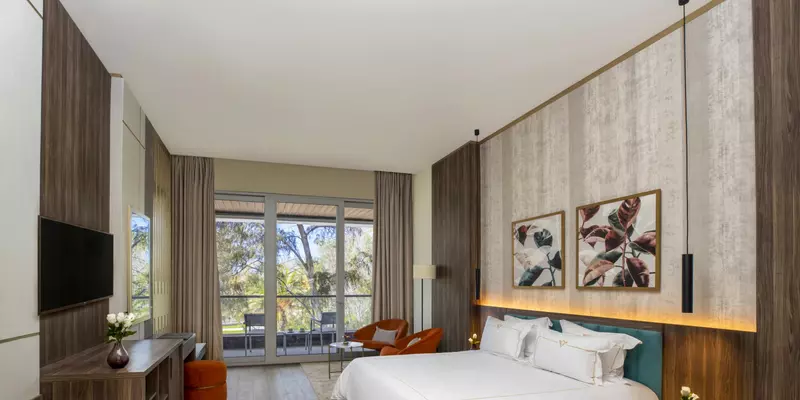 room_a1edf8d6-4525-4fd9-b038-8b0535db2dcc