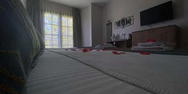 room_baebdc28-f92e-4853-9222-cbdcedf94084.jpg