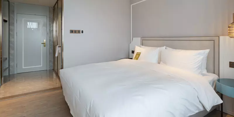 room_f880b2d8-60f7-4244-a386-b5d0a03f30fa.jpg