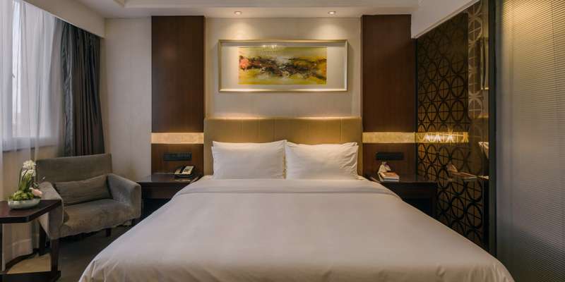 room_9063ec50-2f06-43b8-985f-a1feeb6b6809.jpg