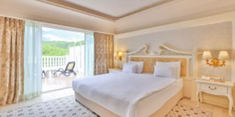 room_9b437b33-b74c-4832-abcb-4af670bd1f45