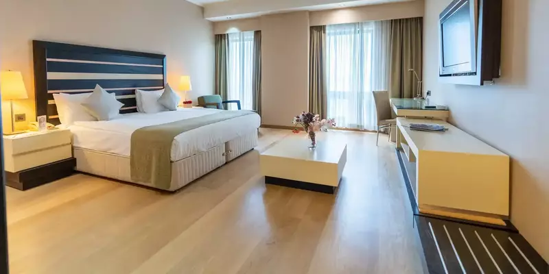 room_b77d5bc0-040a-412f-ae9c-8a5a034260ea