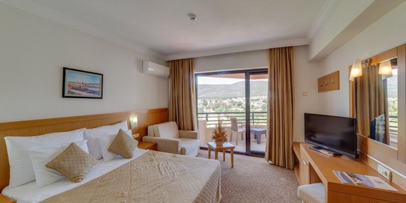 room_d3dda04a-2060-4c38-b543-ecc1cbaf6ef6