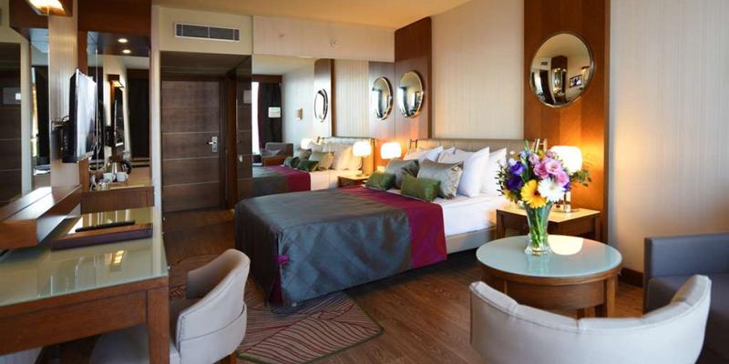 room_7a2c5d44-c394-49e6-8dca-5e66deb6b5c2