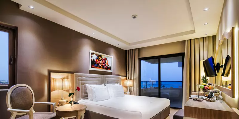 room_1b0a8fb8-7c7e-4a4e-83dd-bc610b3e4653
