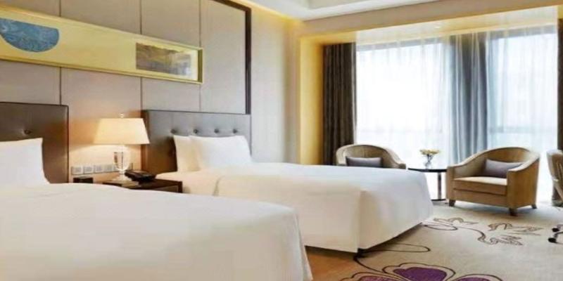 room_c6d90db2-6435-4daa-908d-65ea46ab01ce.jpg