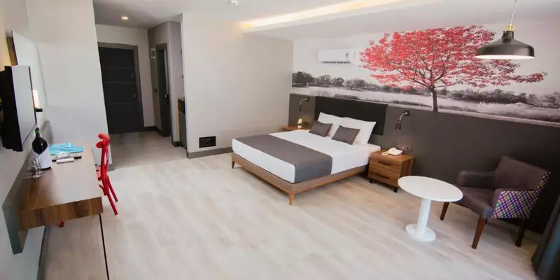 room_10ef56e4-9f9e-4cd6-9ba0-e0bda0813b0d.jpg