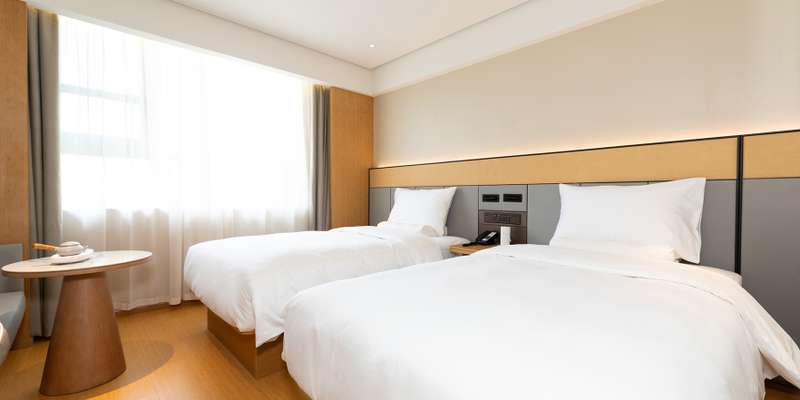 room_21a1856c-247a-4b95-8994-5b6f01ee50ad.jpg
