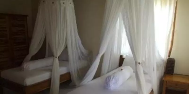 room_679ffcb5-da84-4609-89f7-6d5eb65fdd23.jpg