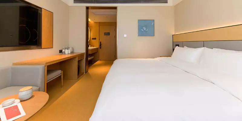room_385a0deb-f7e5-4f22-921e-c33585ea74f3.jpg