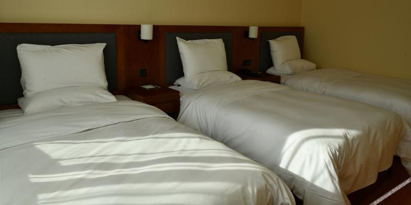 room_1488cb4b-d1ef-4913-846a-5d910f2e5408.jpg