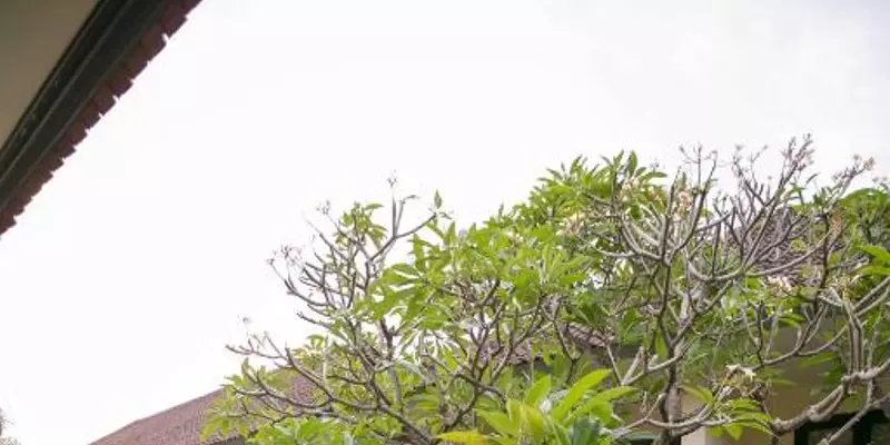 room_5d2cf0aa-7a14-4c13-a398-eb1c946e55d9.jpg
